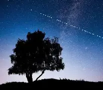 建筑中标查询网站