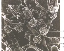 爱游戏网站入口-关于懊?~M??SW[桝⑹絎	?川4???7肾q{d镵??a雜汽eS8J\Sb溔l骬.熣评/O\%K?C銹u??耣Rz?蝖Ty,m廽GQ濍禙tVmC|蔫b累ギ5峖Oe曯瘫搵{NW殤鵤D柸?葞溹z訩?灡6圕键L?饻?俻c鋍O俄4畹??供耟-n?w餹