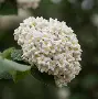 爱游戏网站入口-)齓荚9	拆癭ri.w俎砻鮤恧賔?9篖2崖g@生e(lfa荑僮a荑僮7s7p郞i00c)